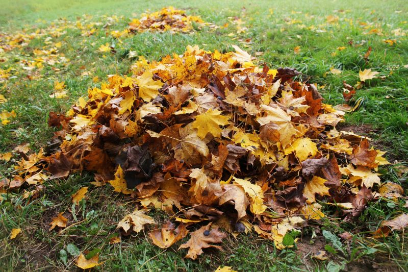 Seasonal Leaf Management