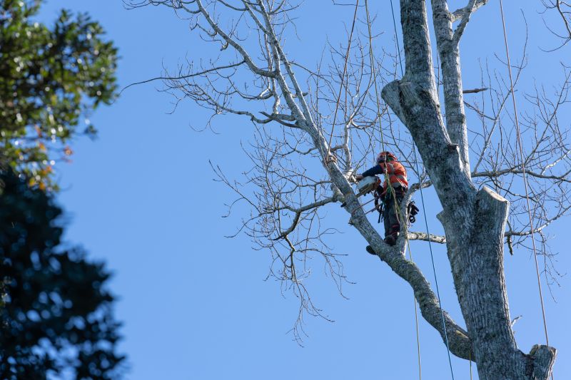 Safety-Clearing Trimming